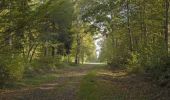 Trail Walking Samoussy - Le Nayer - Photo 1