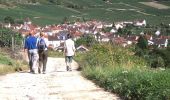 Trail Walking Azy-sur-Marne - La corniche d'Azy - Photo 2