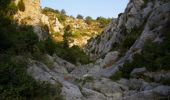 Trail Walking Gruissan - Combe de Lavit - Photo 1