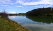 Randonnée Marche Nailloux - Nailloux - Lac de la Tésauque - Photo 1