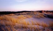 Percorso Marcia Fort-Mahon-Plage - La dune de l'Authie - Photo 1