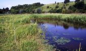 Tour Wandern La Chaussée-Tirancourt - La vallée d''Acon - Photo 1