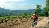 Tour Mountainbike Cadenet - Le tour des Gardis  - Photo 1