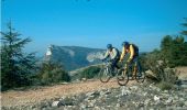 Tocht Mountainbike Cheval-Blanc - Les balcons de Mérindol  - Photo 1