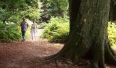 Excursión Senderismo Forest-l'Abbaye - Promenades en forêt de Crécy 2-2 - Photo 1