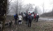 Excursión Senderismo Urbès - 11.12.18 - Photo 7