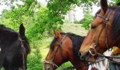 Tocht Paard Lanvallay - Dinan - Mont Saint Michel 1 - Photo 1