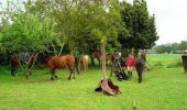 Percorso Cavallo La Ville-ès-Nonais - Dinan - Mont Saint Michel 2 - Photo 1