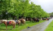 Tocht Paard Maen-Roch - Saint Brice en Coglès - Forêt de Fougères - Equibreizh - Photo 1