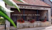 Tocht Mountainbike Saint-Loup-sur-Aujon - Le Signal de Saint - Loup  sur Aujon - Photo 1