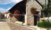 Percorso Marcia Orcevaux - Les Coteaux du plateau de Langres - Photo 1