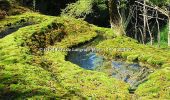 Randonnée V.T.T. Rolampont - La Tufière de Rolampont - Faverolles - Photo 2