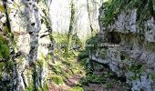 Trail Walking Noidant-le-Rocheux - Lacs et falaises de la Mouche - Photo 1