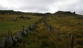 Tocht Stappen Prinsuéjols-Malbouzon - Les Gentianes - Aubrac - Chemin de St-Jacques de Compostelle - Photo 2