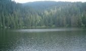 Randonnée Marche Le Valtin - Le lac Vert et le lac des Truites - Photo 6