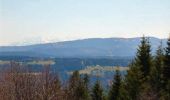 Tocht Stappen Pontarlier - Montagne du Larmont (1323 m) - Photo 1