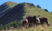 Trail Walking La Giettaz - Balade dans le Val d'Arly - Le Croise Baulet par l'alpage du Leuta - Photo 3