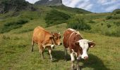 Trail Walking La Giettaz - Balade dans le Val d'Arly - Le Croise Baulet par l'alpage du Leuta - Photo 2