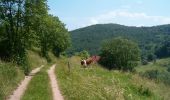Trail Walking Labaroche - La Roche du Corbeau - Photo 2