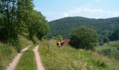 Tocht Stappen Labaroche - La Roche du Corbeau - Photo 2