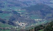 Tour Wandern Zell - Le Petit et le Grand Hohnack - Photo 2