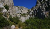 Trail Walking Narbonne - La Garrigue des Monges  - Photo 4