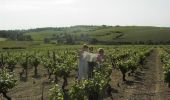 Percorso Marcia Terranjou - De vignes en forêt - Notre Dame d'Alençon - Photo 1