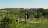 Randonnée Marche Lys-Haut-Layon - Le Tancoignéen - Photo 1