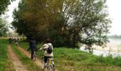 Tour Wandern Gennes-Val-de-Loire - Perspectives de Loire - Cunault - Photo 1