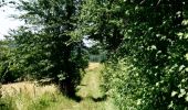 Trail Walking Halloy-lès-Pernois - Circuit du bois des dames - Photo 1