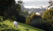 Tocht Stappen Cappy - Les Royards - Photo 1