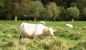 Randonnée Marche Étinehem-Méricourt - Les marais des vaches - Photo 1