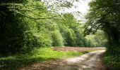 Trail Walking Dury - La belle épine (variante courte) - Photo 1