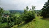 Trail Walking Fossemanant - Le Bois du Quesnoy - Photo 1