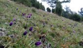 Tour Wandern Contre - La vallée des Parquets (variante courte) - Photo 1