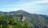 Excursión Bici de montaña Castanet-le-Haut - Le plateau de Fagayrolles - Photo 2