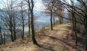 Trail Walking Vireux-Molhain - Du Mont Vireux au château de Hierges - Photo 4