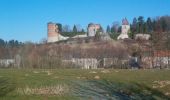 Tocht Stappen Vireux-Molhain - Du Mont Vireux au château de Hierges - Photo 2