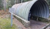 Tocht Stappen Orbey - col du Wettstein et Mémorial du Linge  - Photo 11