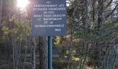 Tocht Stappen Orbey - col du Wettstein et Mémorial du Linge  - Photo 10