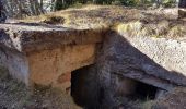 Tour Wandern Urbeis - col du Wettstein et Mémorial du Linge  - Photo 7