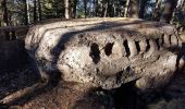 Tocht Stappen Orbey - col du Wettstein et Mémorial du Linge  - Photo 6