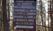 Tour Wandern Urbeis - col du Wettstein et Mémorial du Linge  - Photo 4