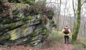 Trail Walking Laifour - De Laifour à Anchamps par les rochers des Dames de Meuse - Photo 3