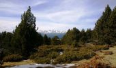 Tour Wandern La Llagonne - Puig de la Tossa - Photo 1