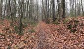 Trail Walking Chastre - Gentinnes 24,5 km - Photo 10