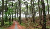 Excursión Senderismo Garein - Garein - Landes de Sindères et de Piat - Photo 1