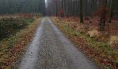 Trail Walking Eupen - chemin de clouse - Photo 3