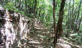 Excursión Senderismo Saint-Gervais-sur-Mare - Sentier d'interprétation de la châtaigneraie de Cours - Photo 1