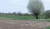 Trail Walking Fromelles - Circuit de la bataille de Fromelles - Photo 4